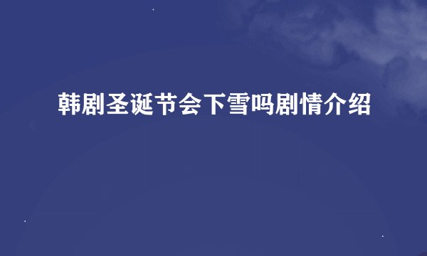 韩剧圣诞节会下雪吗剧情介绍
