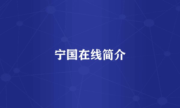 宁国在线简介