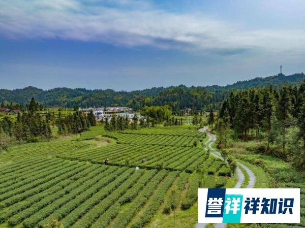 2024年新农村建设搞“平坟还耕”?这样做合法吗?