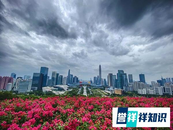深圳领到的政策大礼包,吹响了房价转向的号角