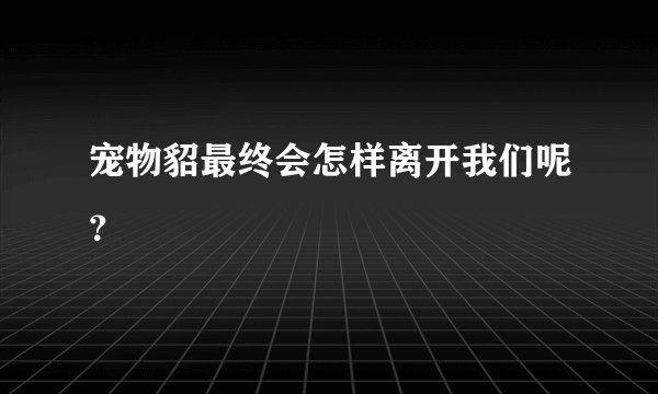 宠物貂最终会怎样离开我们呢？