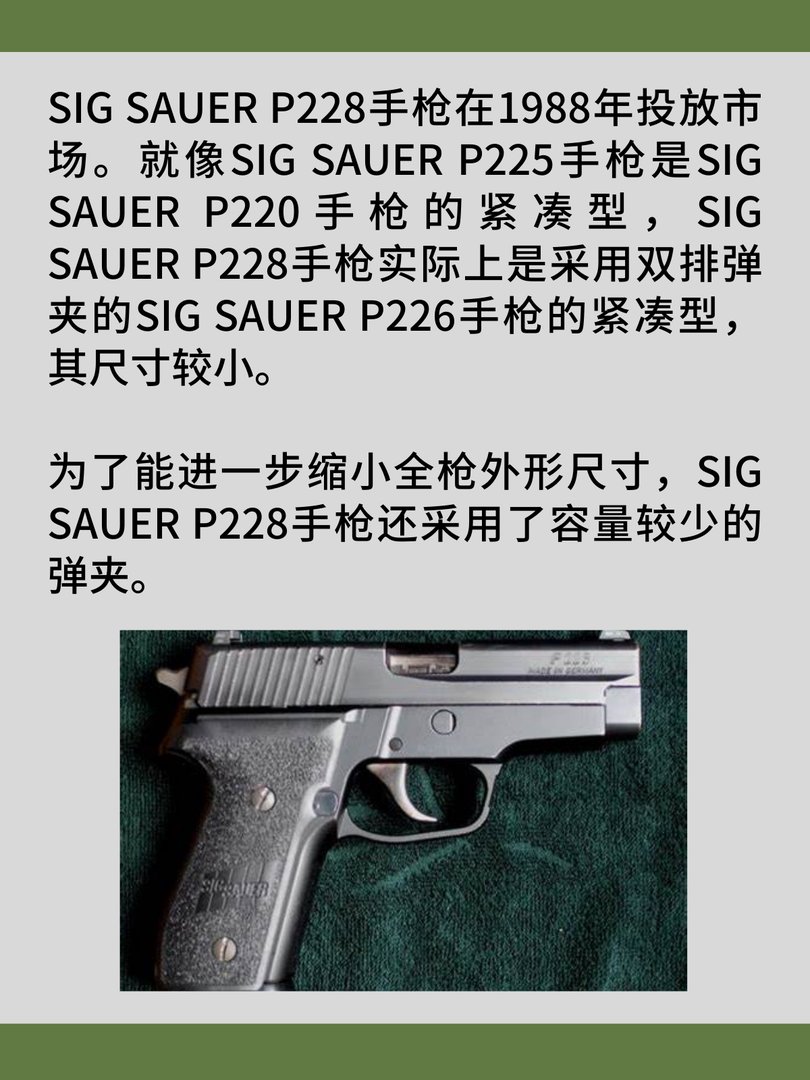SIG SAUER P228手枪