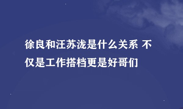 徐良和汪苏泷是什么关系 不仅是工作搭档更是好哥们