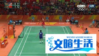 李宗伟告别羽坛，5分钟快速了解一下他
