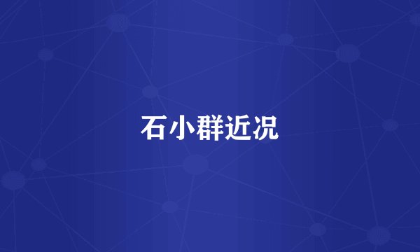 石小群近况