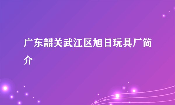 广东韶关武江区旭日玩具厂简介