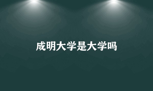 成明大学是大学吗