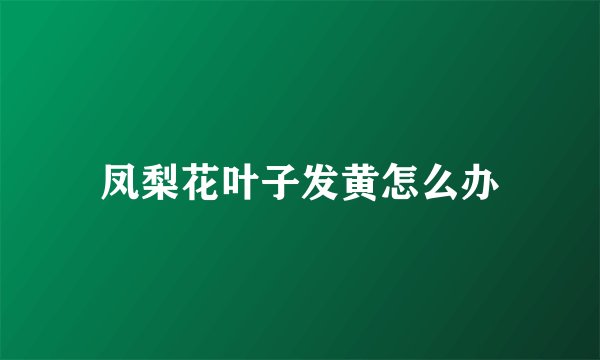 凤梨花叶子发黄怎么办