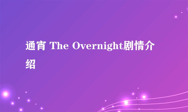 通宵 The Overnight剧情介绍