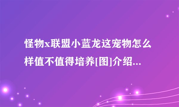 怪物x联盟小蓝龙这宠物怎么样值不值得培养[图]介绍_怪物x联盟小蓝龙这宠物怎么样值不值得培养[图]是什么