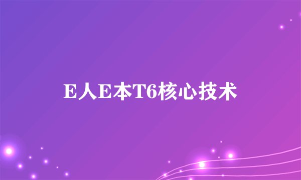 E人E本T6核心技术