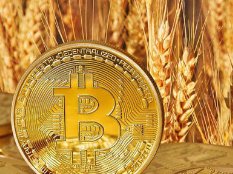 马斯克暗示特斯拉或已出售比特币，这是比特币下跌的原因吗？