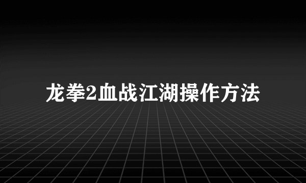 龙拳2血战江湖操作方法