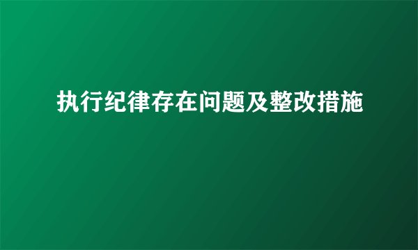 执行纪律存在问题及整改措施