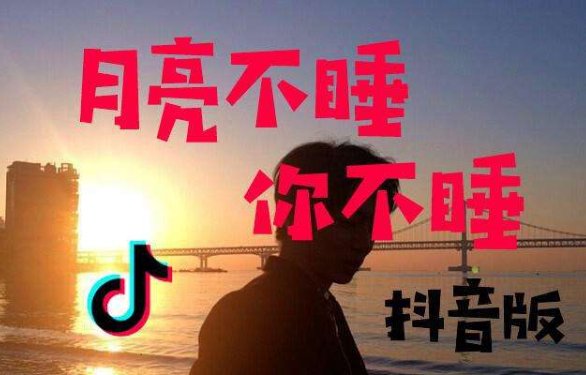 “月亮不睡你不睡你是秃头小宝贝”是什么歌