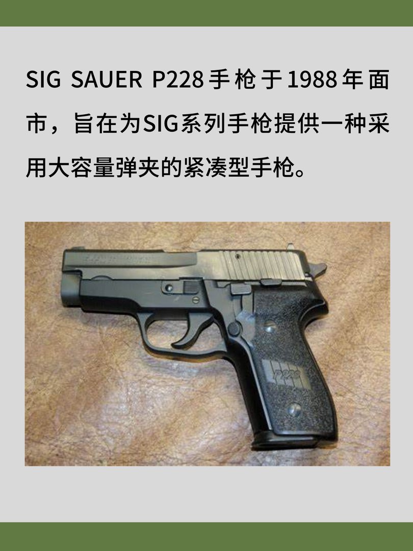 SIG SAUER P228手枪