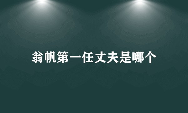 翁帆第一任丈夫是哪个