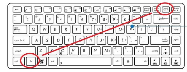 华硕笔记本为什么在输入字母时却变成了数字？