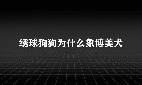 绣球狗狗为什么象博美犬