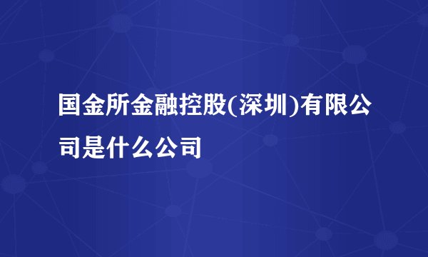 国金所金融控股(深圳)有限公司是什么公司