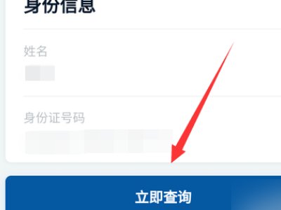 如何在手机上查询核算检测结果