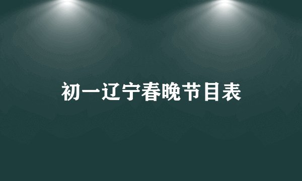 初一辽宁春晚节目表