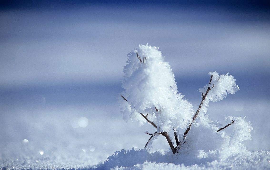 说唱..开头是：雪花飘飘落 你我的过错 这首歌叫什么名字啊 谁唱的啊