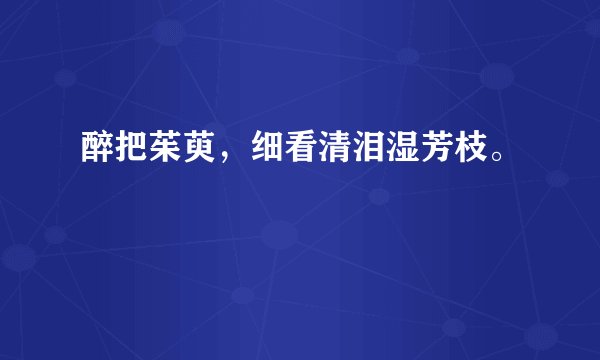 醉把茱萸，细看清泪湿芳枝。