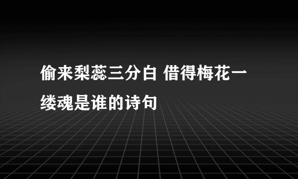 偷来梨蕊三分白 借得梅花一缕魂是谁的诗句