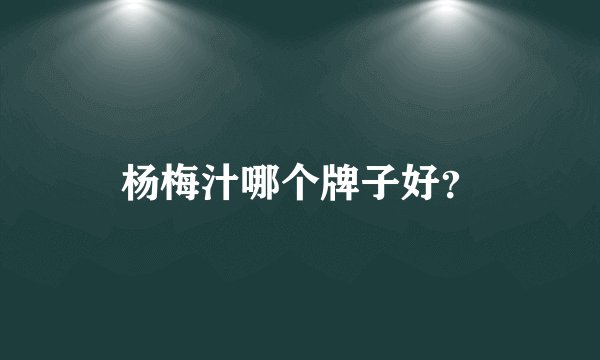 杨梅汁哪个牌子好？