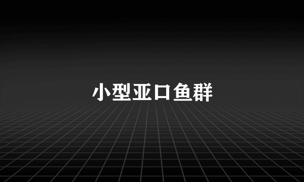 小型亚口鱼群