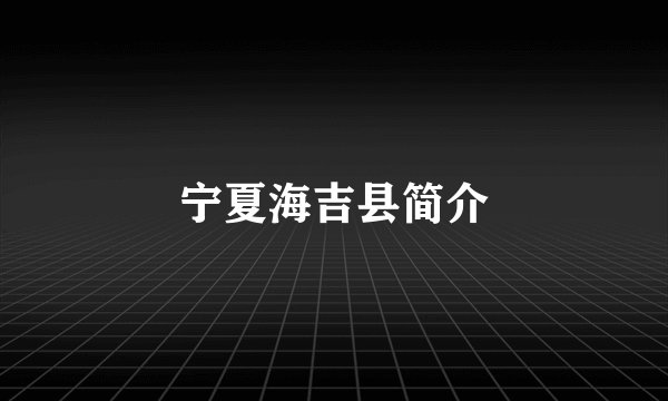 宁夏海吉县简介