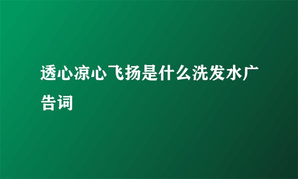 透心凉心飞扬是什么洗发水广告词