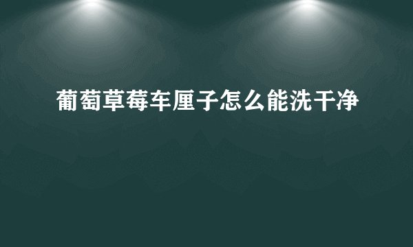 葡萄草莓车厘子怎么能洗干净