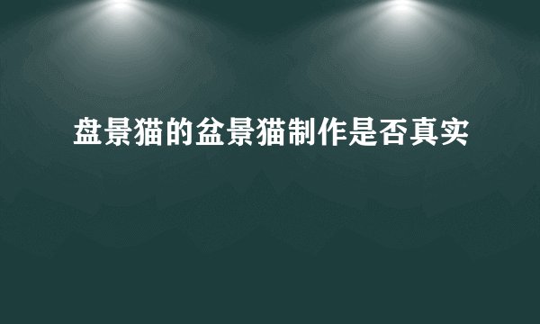 盘景猫的盆景猫制作是否真实