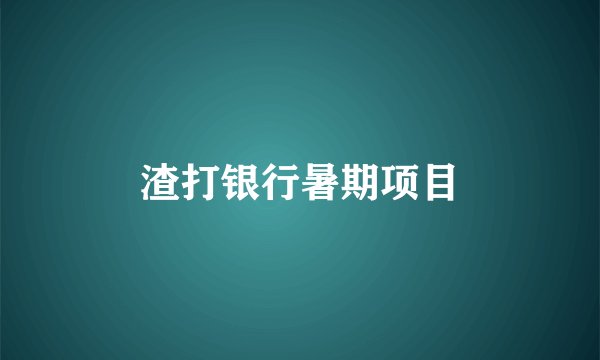 渣打银行暑期项目