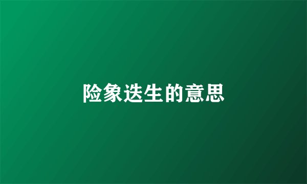 险象迭生的意思