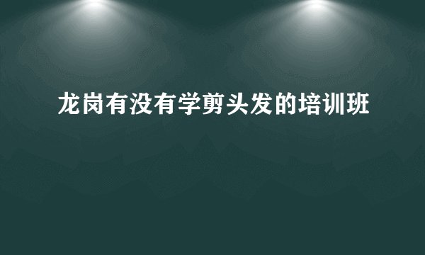 龙岗有没有学剪头发的培训班