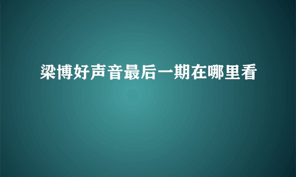 梁博好声音最后一期在哪里看