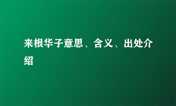 来根华子意思、含义、出处介绍