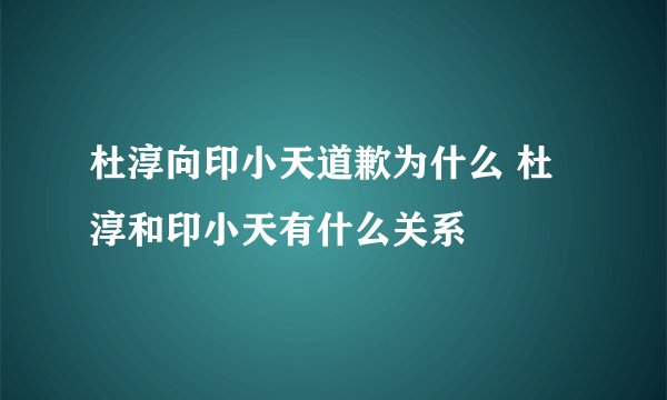 杜淳向印小天道歉为什么 杜淳和印小天有什么关系