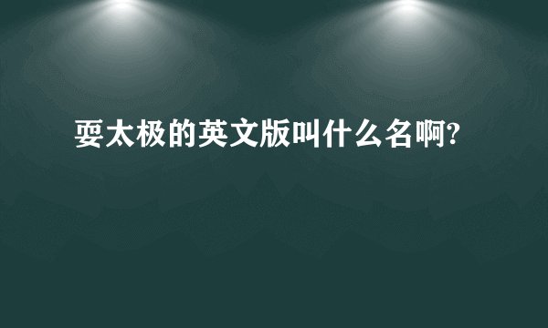 耍太极的英文版叫什么名啊?