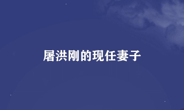 屠洪刚的现任妻子