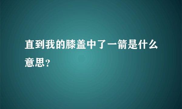 直到我的膝盖中了一箭是什么意思？