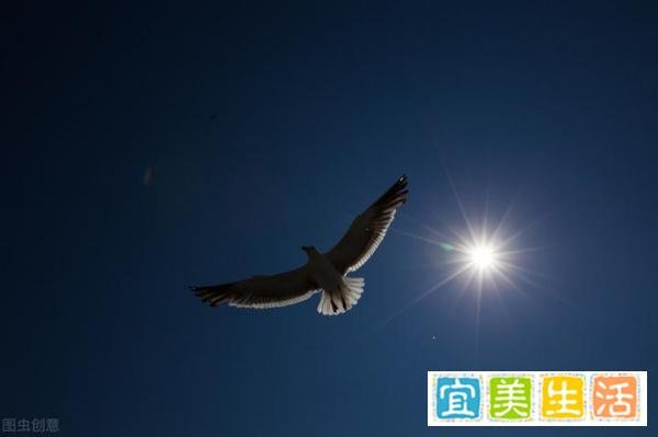 毛洪涛那个“少年勤勉，青年奋进”不屈男人的过往模样