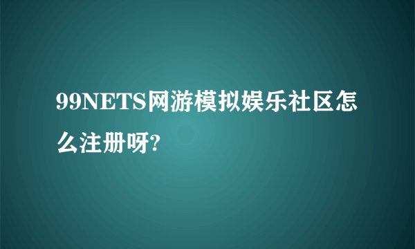 99NETS网游模拟娱乐社区怎么注册呀?