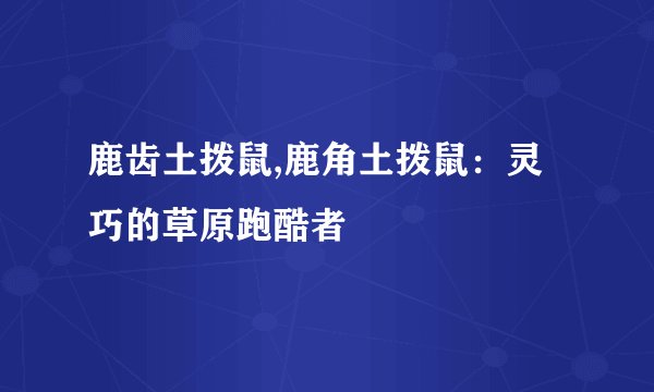 鹿齿土拨鼠,鹿角土拨鼠：灵巧的草原跑酷者