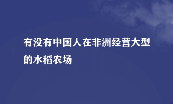 有没有中国人在非洲经营大型的水稻农场