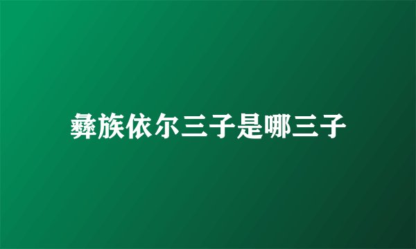 彝族依尔三子是哪三子