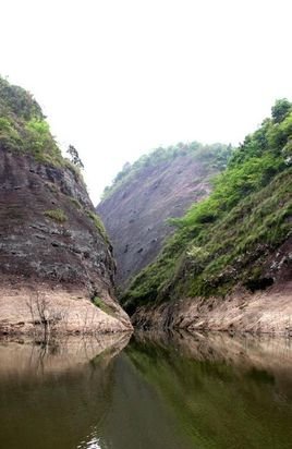 紫霄镇的区划人口